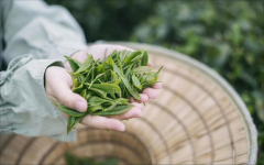 配资评分平台|充电桩板块走强 大烨智能迦南智能涨停 原因在这里