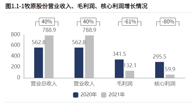 股票资金配资平台